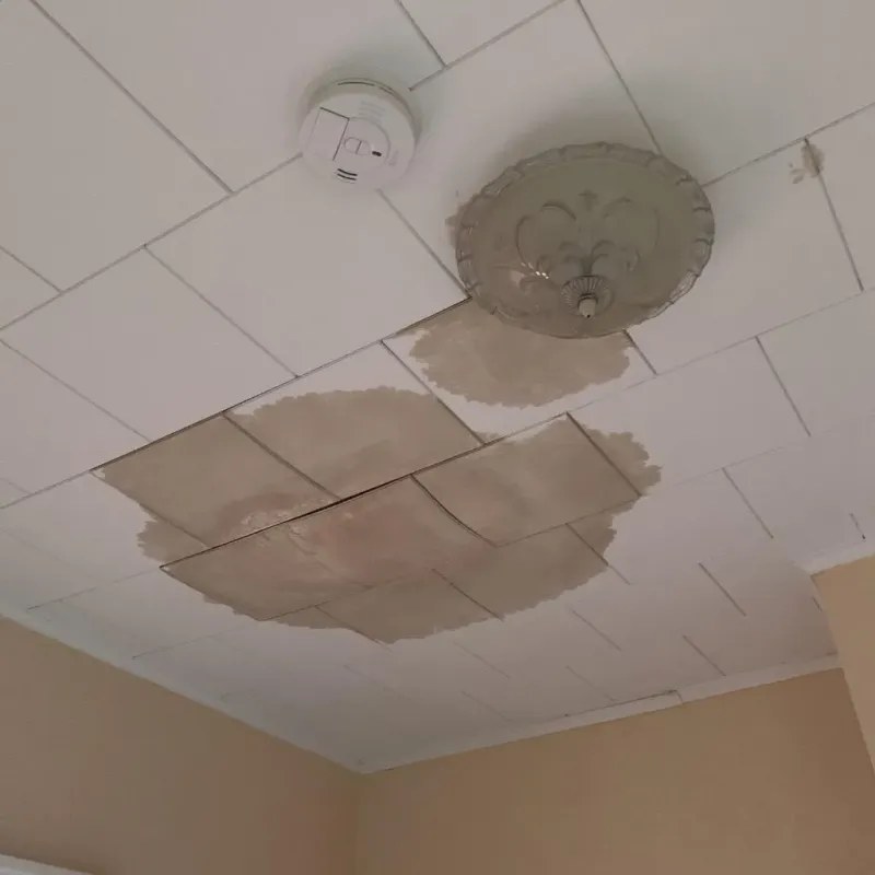 Ceiling Water Damage Repair in Isanti, MN