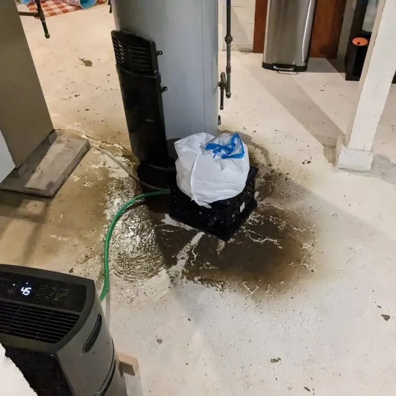 Sewage Backup Cleanup Service in Isanti, MN
